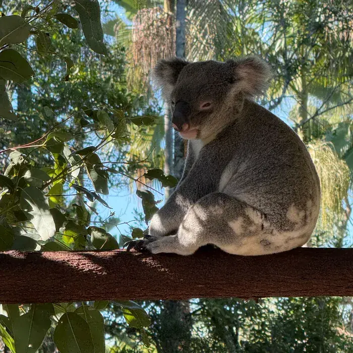 Coombabah Lakelands Conservation Area