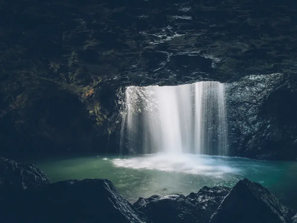 The Glow-worms of the Gold Coast Hinterland