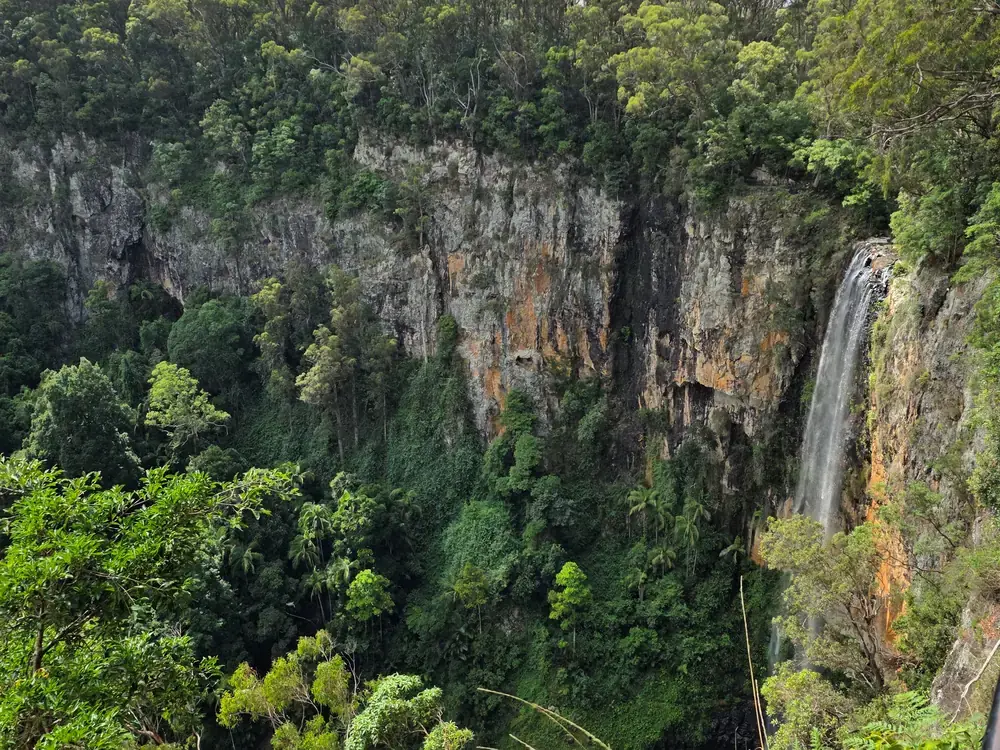 Springbrook National Park