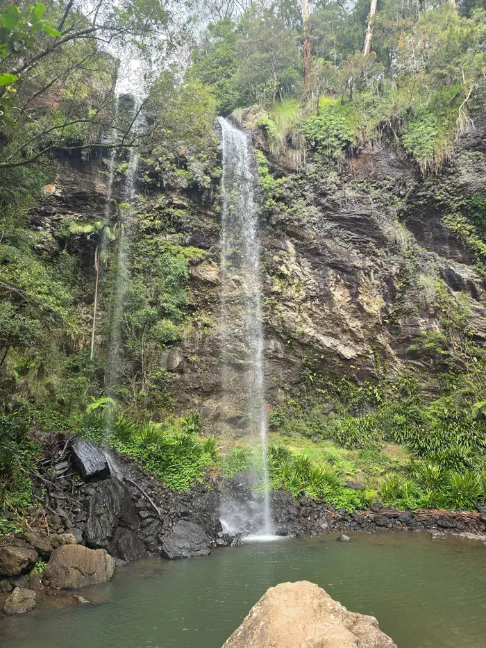 Lamington National Park & O'Reilly's