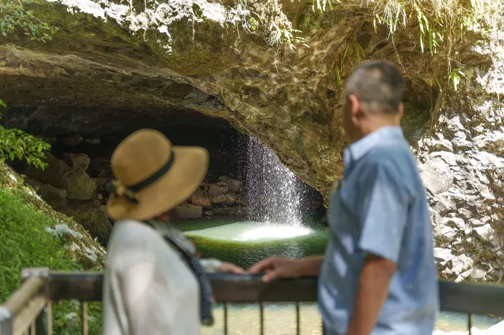 Springbrook National Park