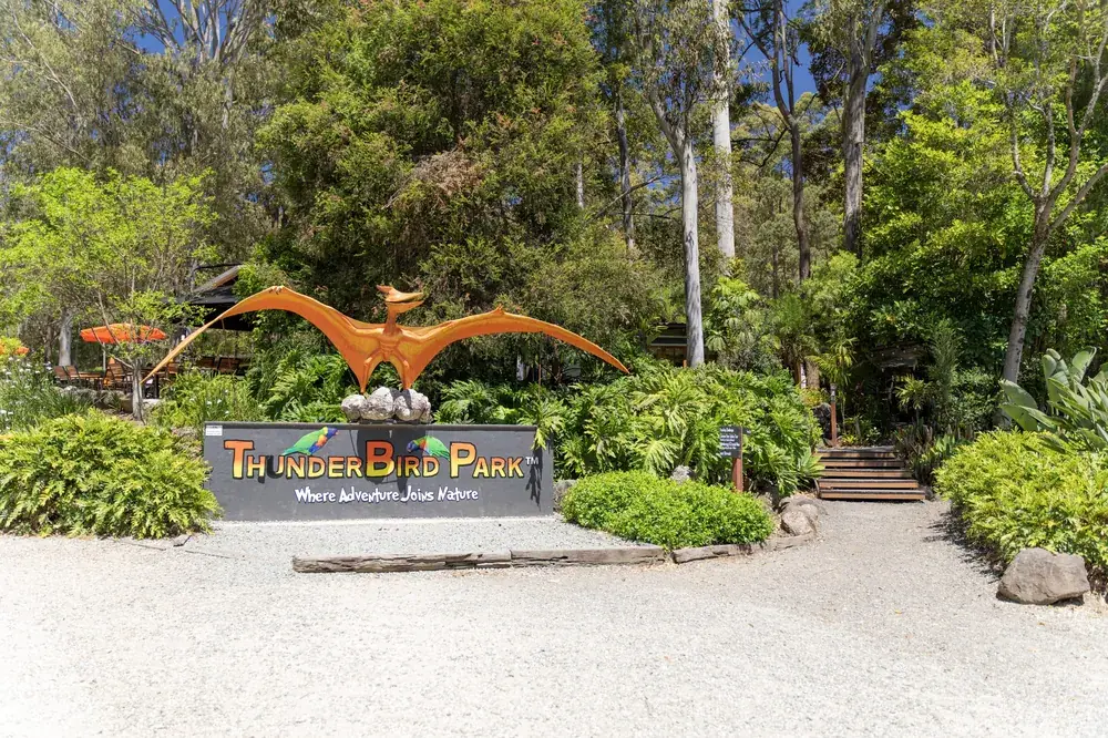 Tamborine Mountain