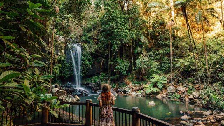 2-Curtis-Falls-at-Tamborine-Mountain-photo-TEQ